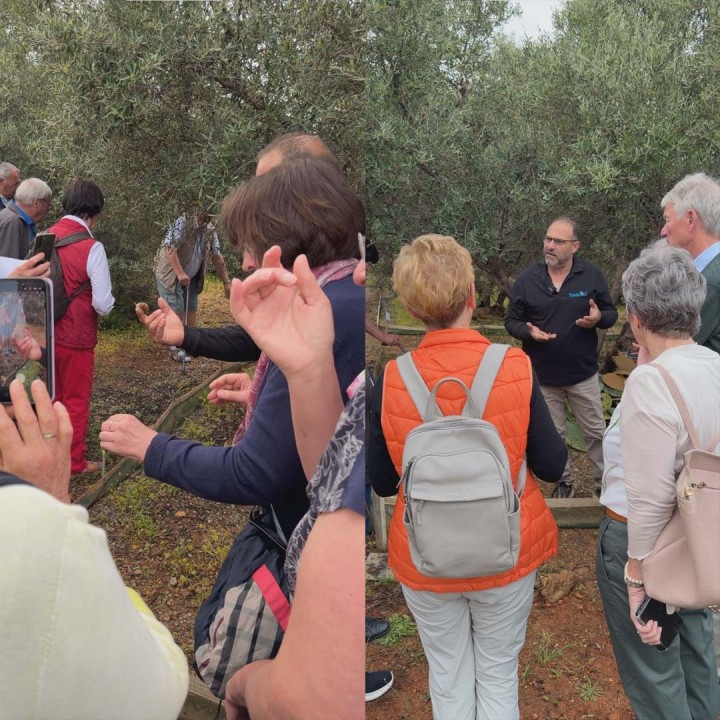 Escargot de Crete Experience