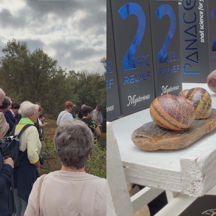 Escargot de Crete Experience